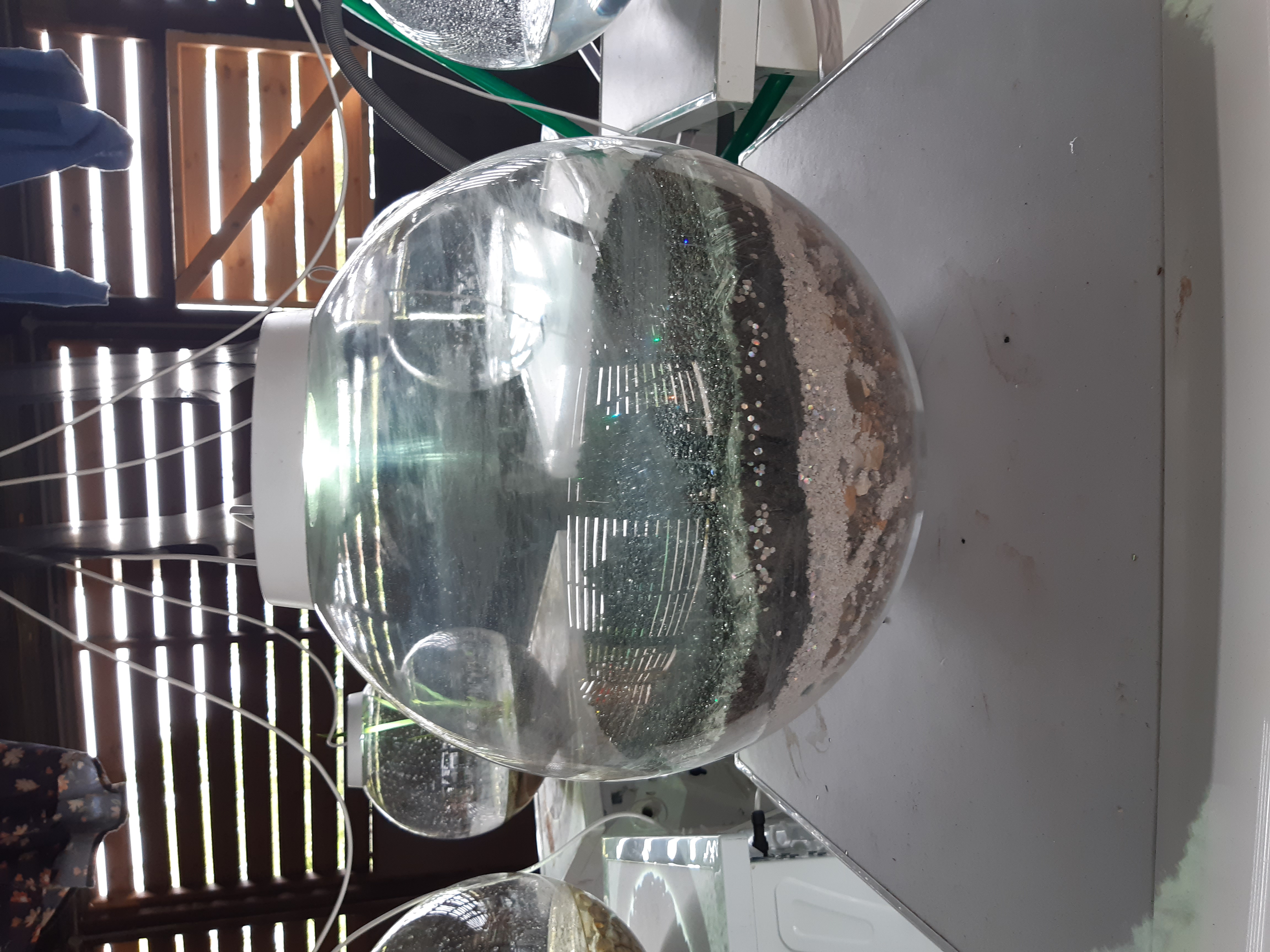 Out to Dry, Estuary 2021, Wat Tyler Park